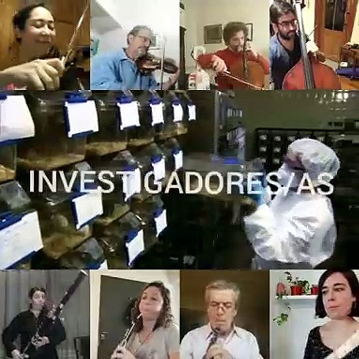 Orquesta sinfónica homenajea a los médicos