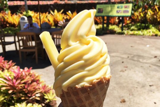 Disney Shared a ‘Dole Whip’ Recipe to Enjoy at Home as Theme Parks Remain Closed