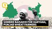 ‘No Labour, No Machines’: Wheat Farmers in Haryana, Punjab Spend a Sombre Baisakhi