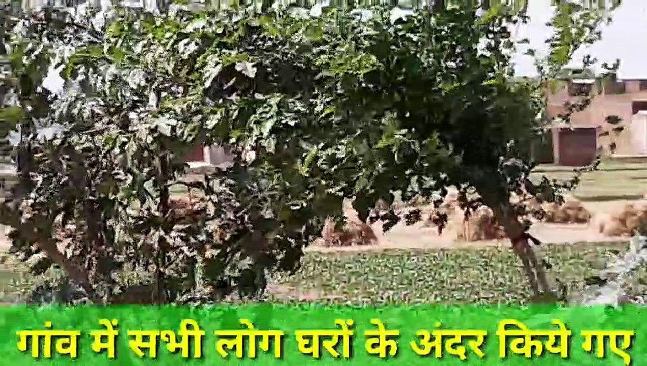 इटावा: कोरोना संक्रमित मरीज से गांव में दहशत, सभी रास्ते हुए सील