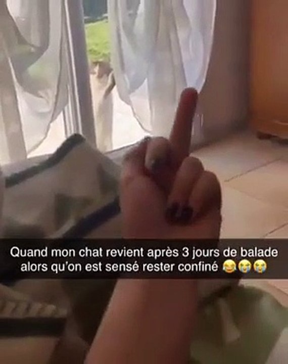Mon chat reviens après 2 jours alors que c'est le confinement