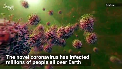 Images Capture the Moment Coronavirus Infects a Cell