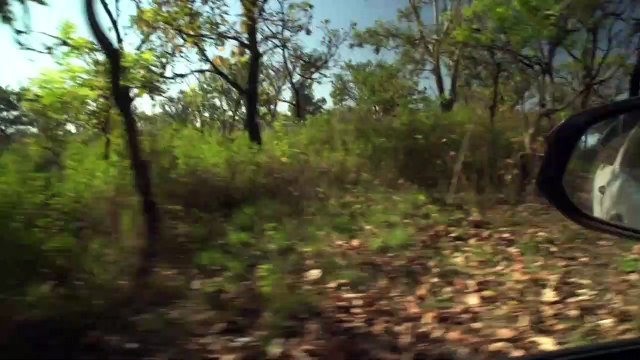 Um milhão de etíopes em crise alimentar