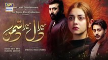 Mera Dil Mera Dushman Ep 30 _ Teaser _ ARY Digital Drama