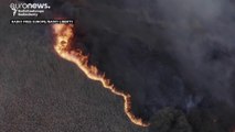 فيديو: تشيرنوبل وتستمر المأساة.. رجال الإطفاء يسابقون الزمن لاحتواء الحرائق المشتعلة