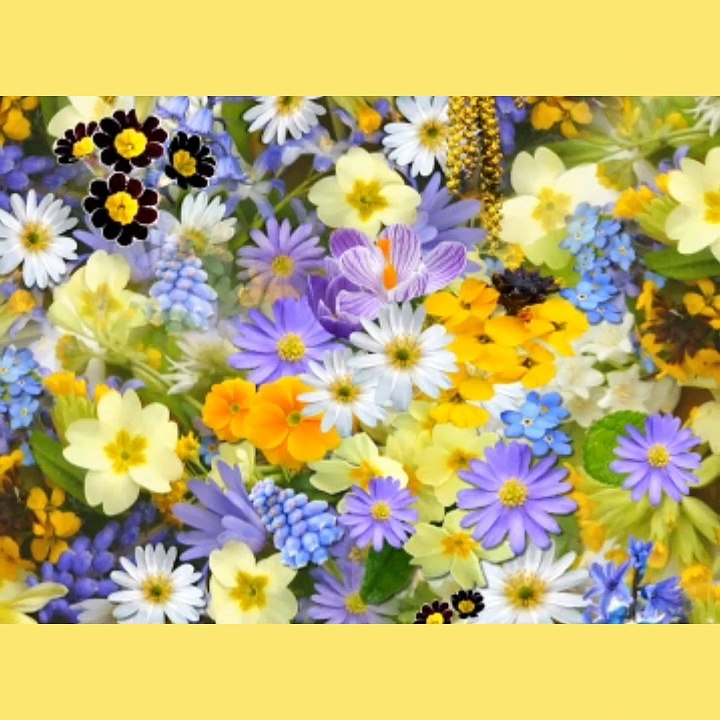 Dil ko chu jane wali baatein 2 |Heart touching golden real words | Inspirational quotes | True words.