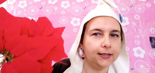 Come distinguere una pianta vera da una finta #telodicelaste