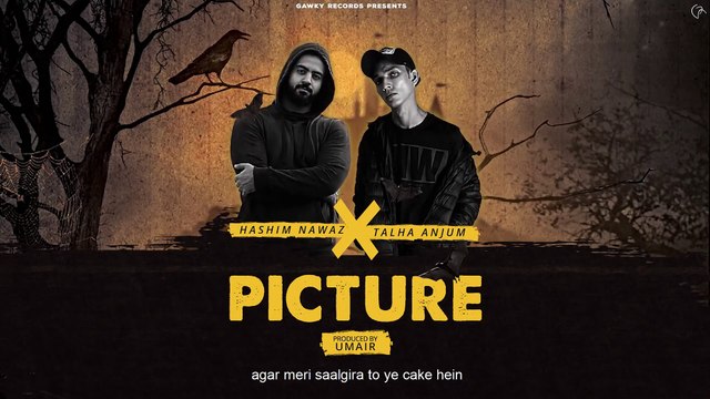 Hashim Nawaz - Picture feat. Talha Anjum (Prod. UMAIR)