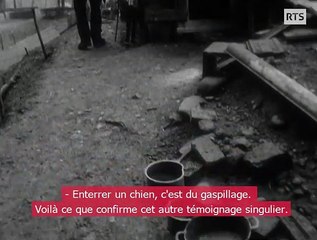 Manger du chien à Fribourg (1964)