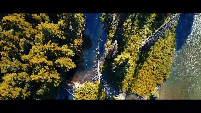 Canadian immigration (processing fees increase April 30)