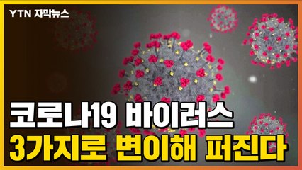 [자막뉴스] "3가지로 변이하는 코로나19"...그 중 한국은? / YTN