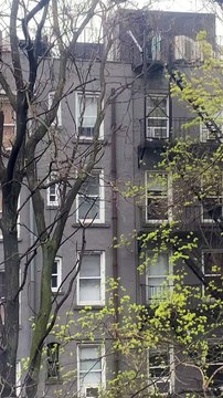 Spring Cleaning in New York City Apartments During Coronavirus Pandemic