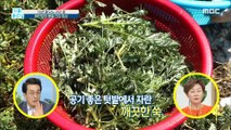 [TASTY] Bae Yeon-jung's Healthy Table in Spring, 기분 좋은 날 20200414