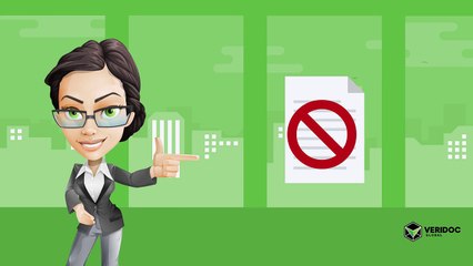 VeriDoc Global Solution Explanation
