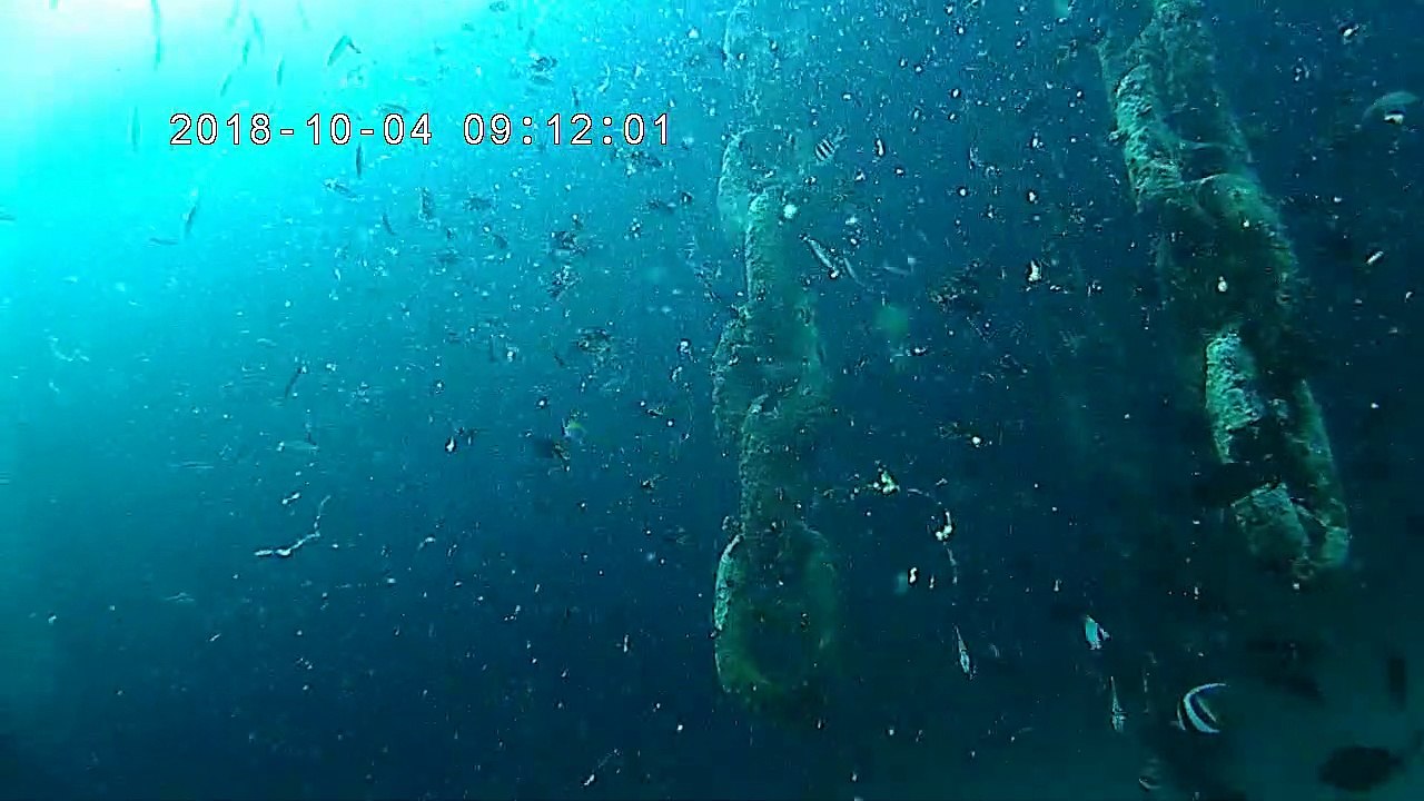 Diving 15