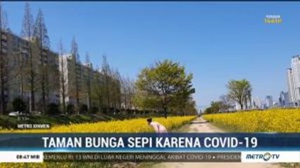 Dampak Covid-19, Taman Bunga di Korsel Sepi Pengunjung