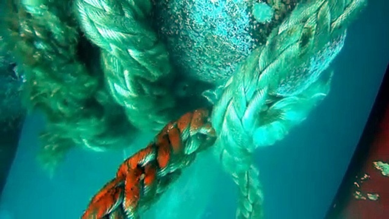 Diving 17