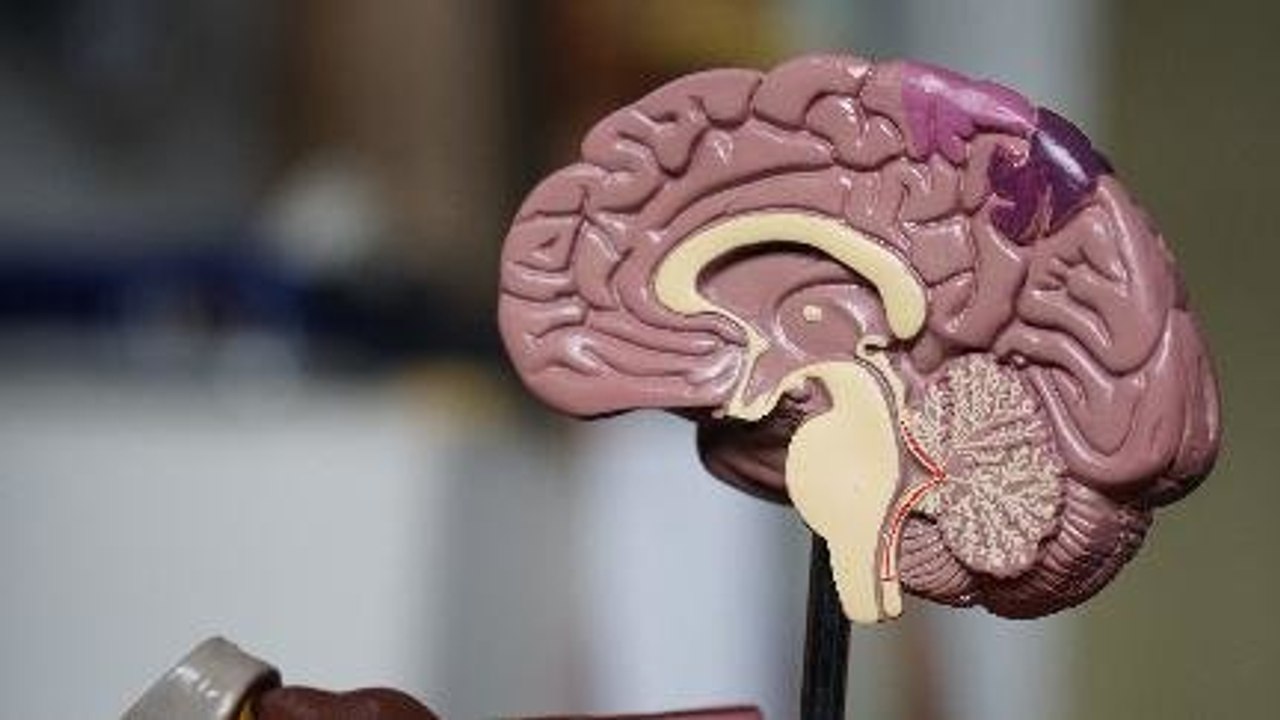 Corona Bisa  Picu Meningitis