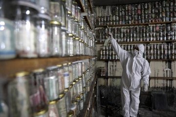 Virüs barındırma ihtimaline karşı, müzesindeki 4 ton parayı dezenfekte etti