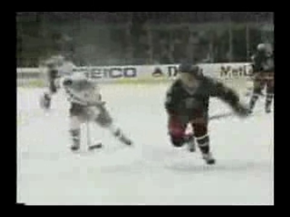 NFL vs NHL
