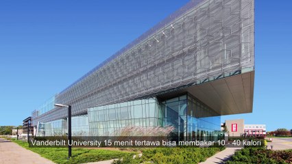 Penelitian membuktikan Bahwa Tertawa dapat membakar kalori, Apakah benar