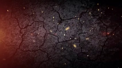 10 of the Best Bodyweight Exercises for Building Muscle