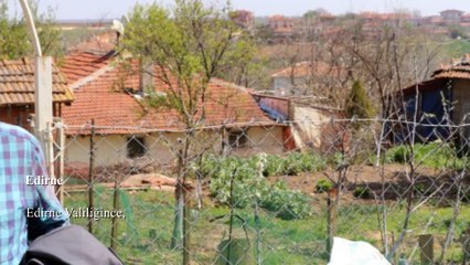 13 nisan akşam ajansı