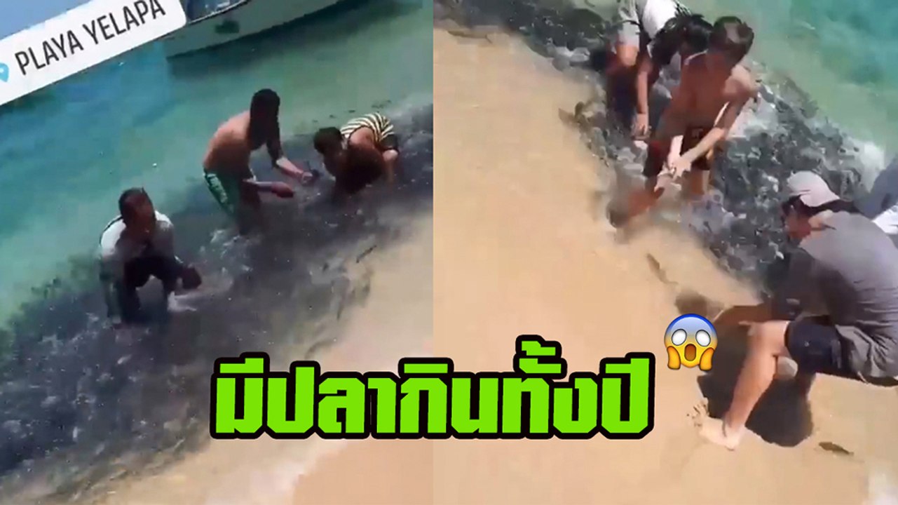 สุดปัง ! ชาวเม็กซิกัน โชว์จับปลา 2 มือ ไม่ต้องใ...