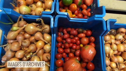 Spécial Confinement au potager bio de l'APJA