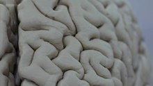 The Joy of AI - HDclump.com