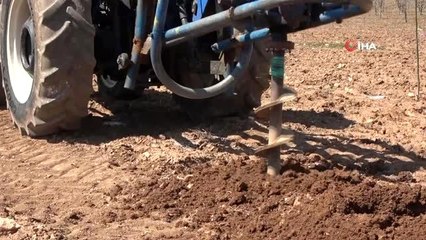 Alternatif tarım ürünlerine kadın eli değiyor