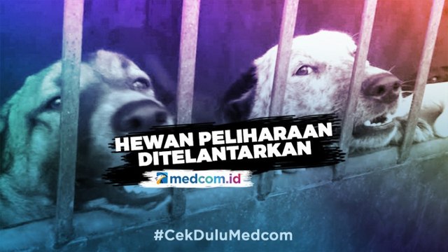 Khawatir Tertular Covid-19, Warga Mesir Telantarkan Hewan Peliharaan