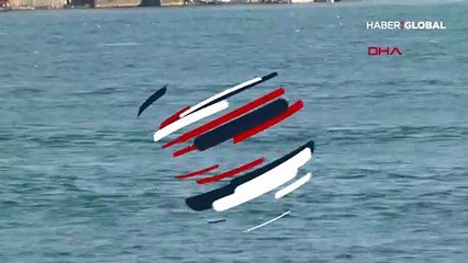 İstanbul Boğazı'nda yunuslar şov yaptı!