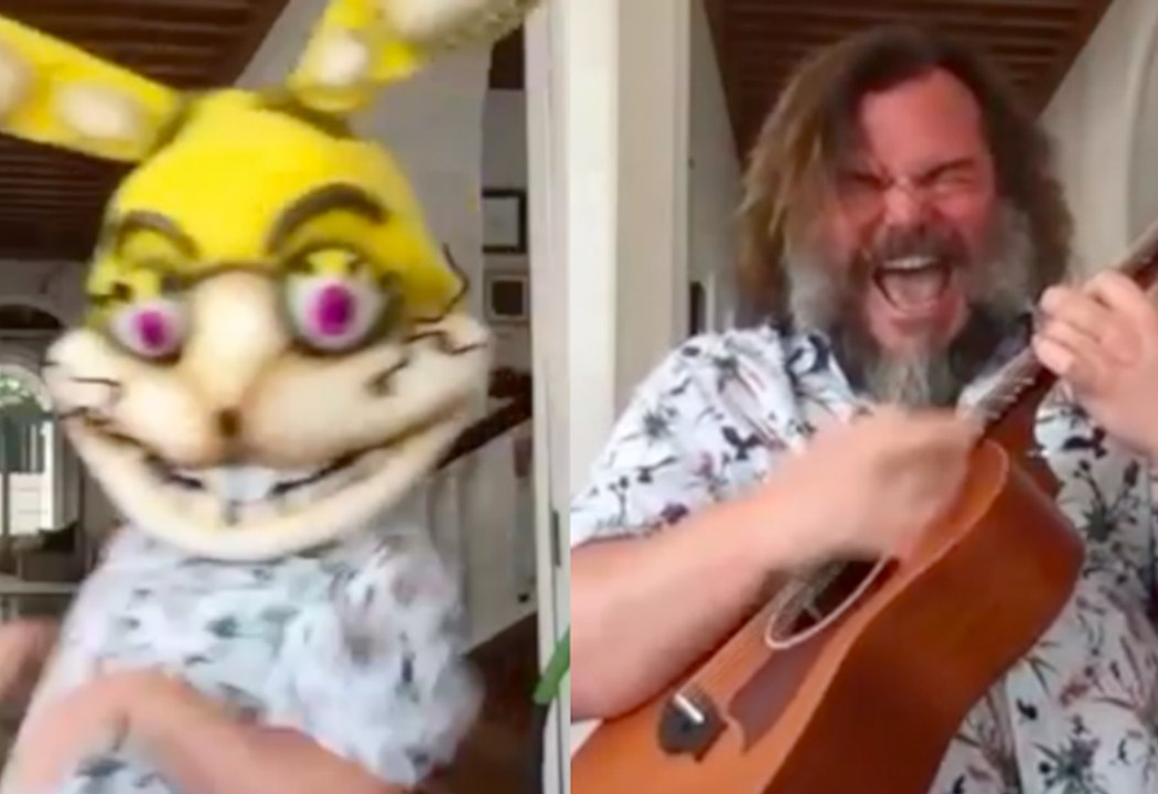 Jack Black kills it once again ! Heavy Metal, Scary Rabbit and Turtles !