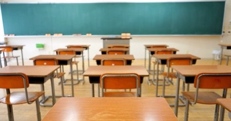 Coronavirus : les enseignants ne cachent pas leurs inquiétudes après l'annonce des réouvertures progressives d'écoles