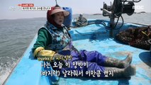 [LIVING] Meet the master of clams digging!, 생방송 오늘 저녁 20200414