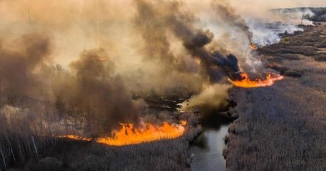 Tchernobyl : un feu de forêt s'étendant sur plus de 20 000 hectares ravage la zone et s'approche des réacteurs