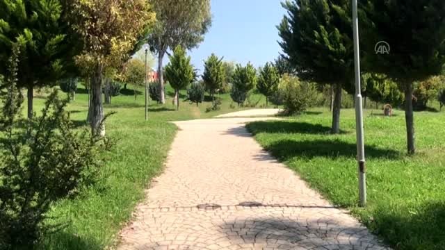 Evde Kal Türkiye çağrısına büyük oranda uyuldu