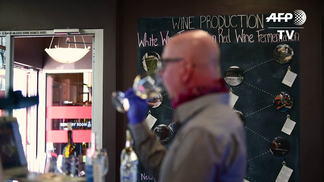 Zum Wohl: Kalifornische Winzer bieten Online-Weinproben an