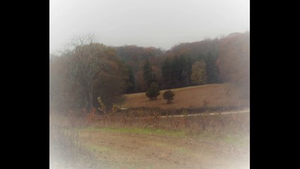 John Padovano - Coffeehouse - November 24 2019  "we had places"