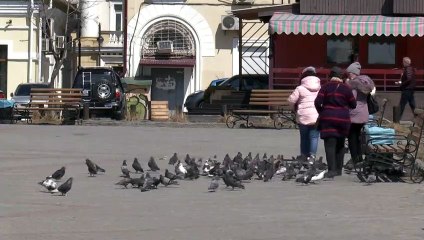 العطلة المدفوعة في روسيا جراء كوفيد-19 مهمة مستحيلة للشركات الصغيرة والمتوسطة الحجم