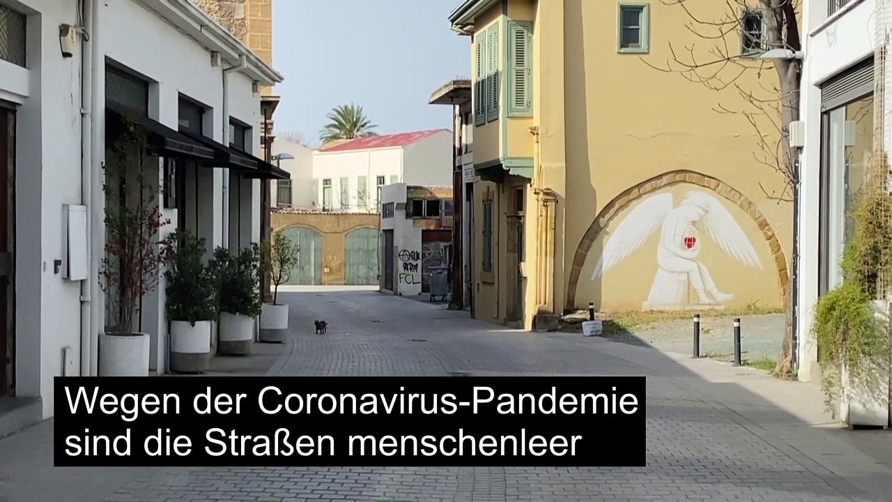 Zypern: Katzen streunen durch die menschenleere Straßen