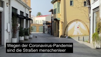 Zypern: Katzen streunen durch die menschenleere Straßen