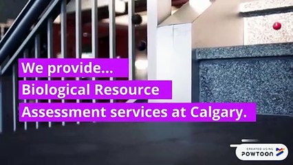 Biological Resource Assessment Services at Calgary