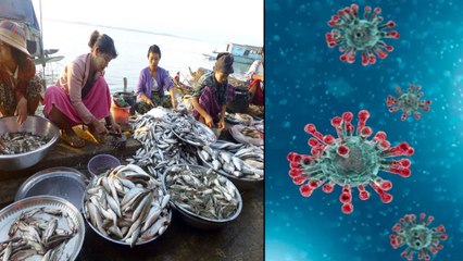 Fake News Buster : 04 ప్రభుత్వ హాస్పిటల్స్ లోనే  AC లు పని చేస్తాయా ? ఇందులో నిజమెంత ?