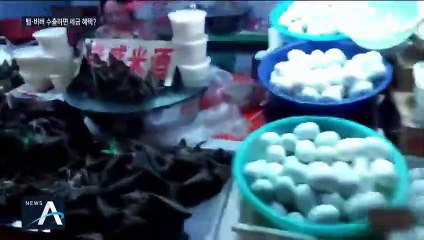 中, 자국내 야생동물 거래 금지하더니…해외 수출은 장려