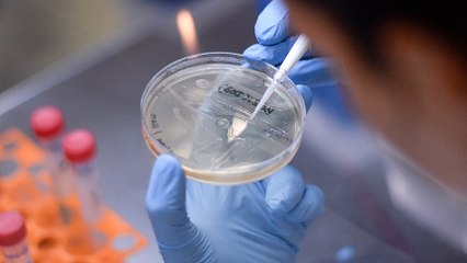 COVID-19 vaccine could be ready in 12-18 months: US top scientist Fauci