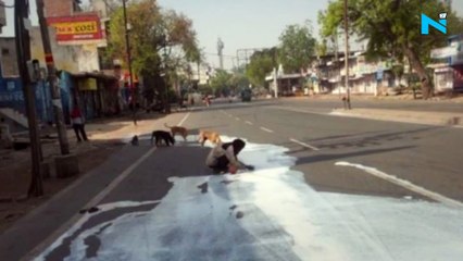 Lockdown effect? Man and stray dogs share spilt milk on Agra street