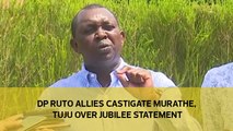 DP Ruto allies castigate Murathe, Tuju over Jubilee statement