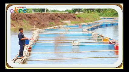 ปัจจัยการผลิต - สื่อการเรียนการสอน สังคม ป.3